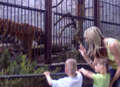 ZOO Ostrava