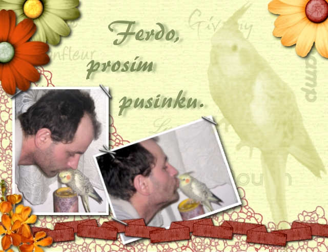 Ferdo,prosm puinku