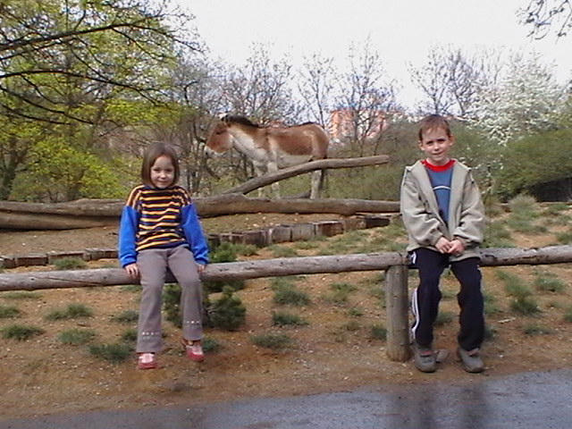 ZOO